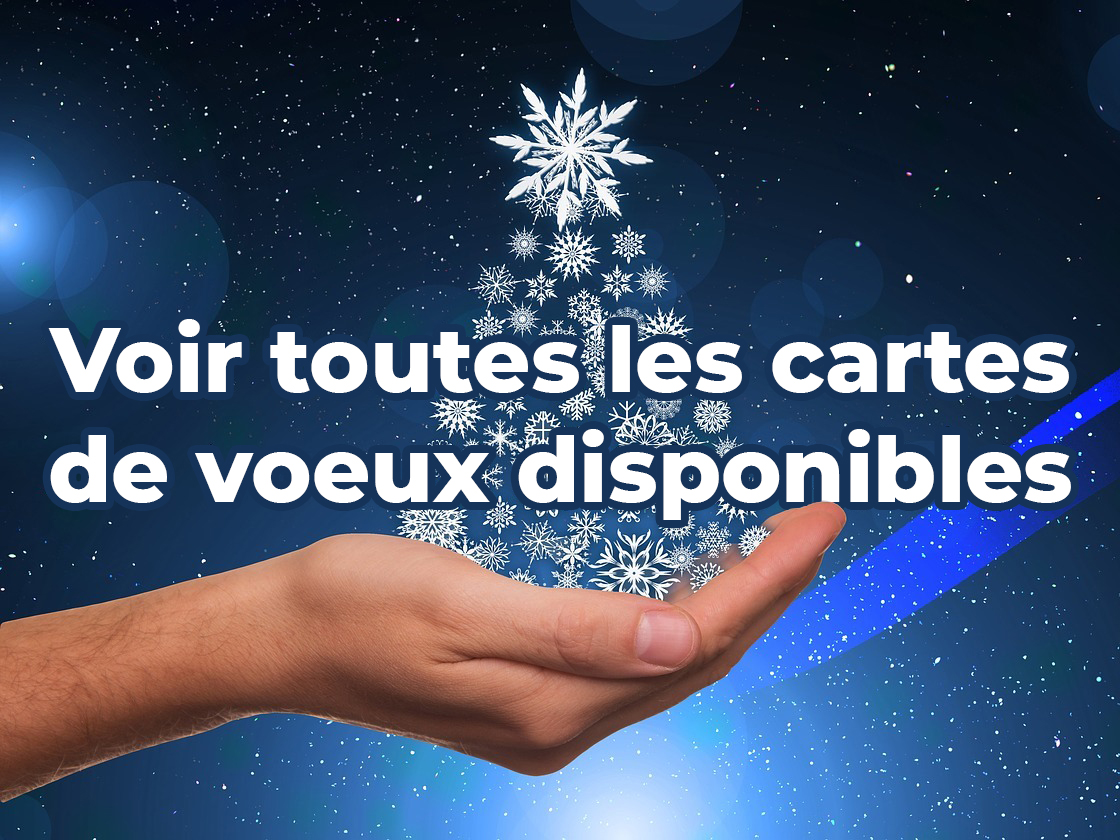 Noël 2020 : Retrouvez Ici Toutes Les Cartes De Vœux Virtuelles à ...